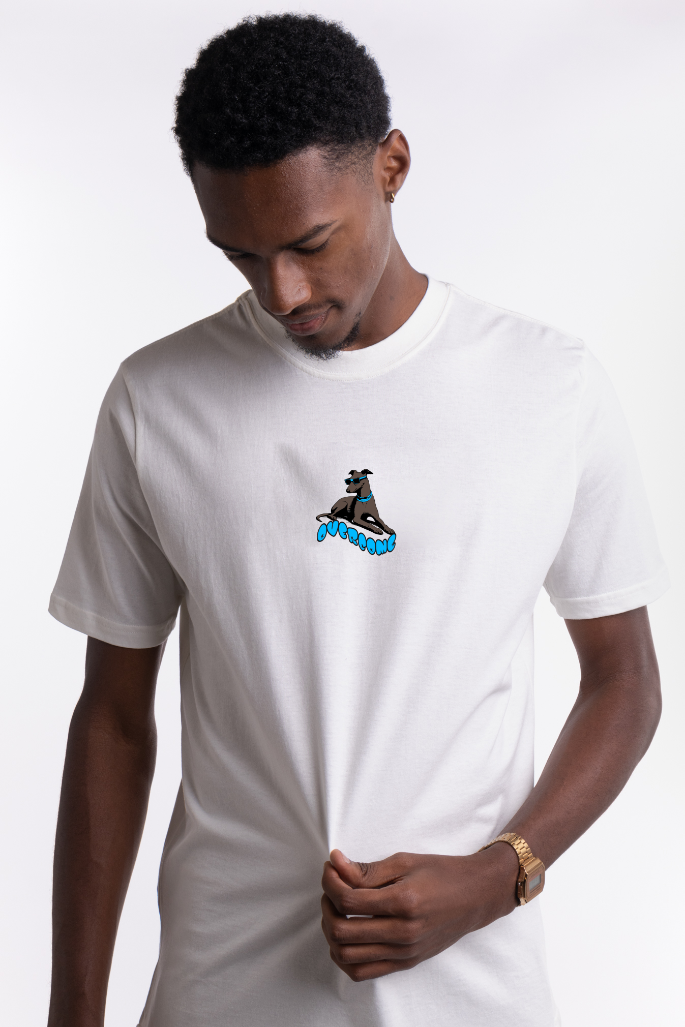 Nike sb 2025 stork shirt